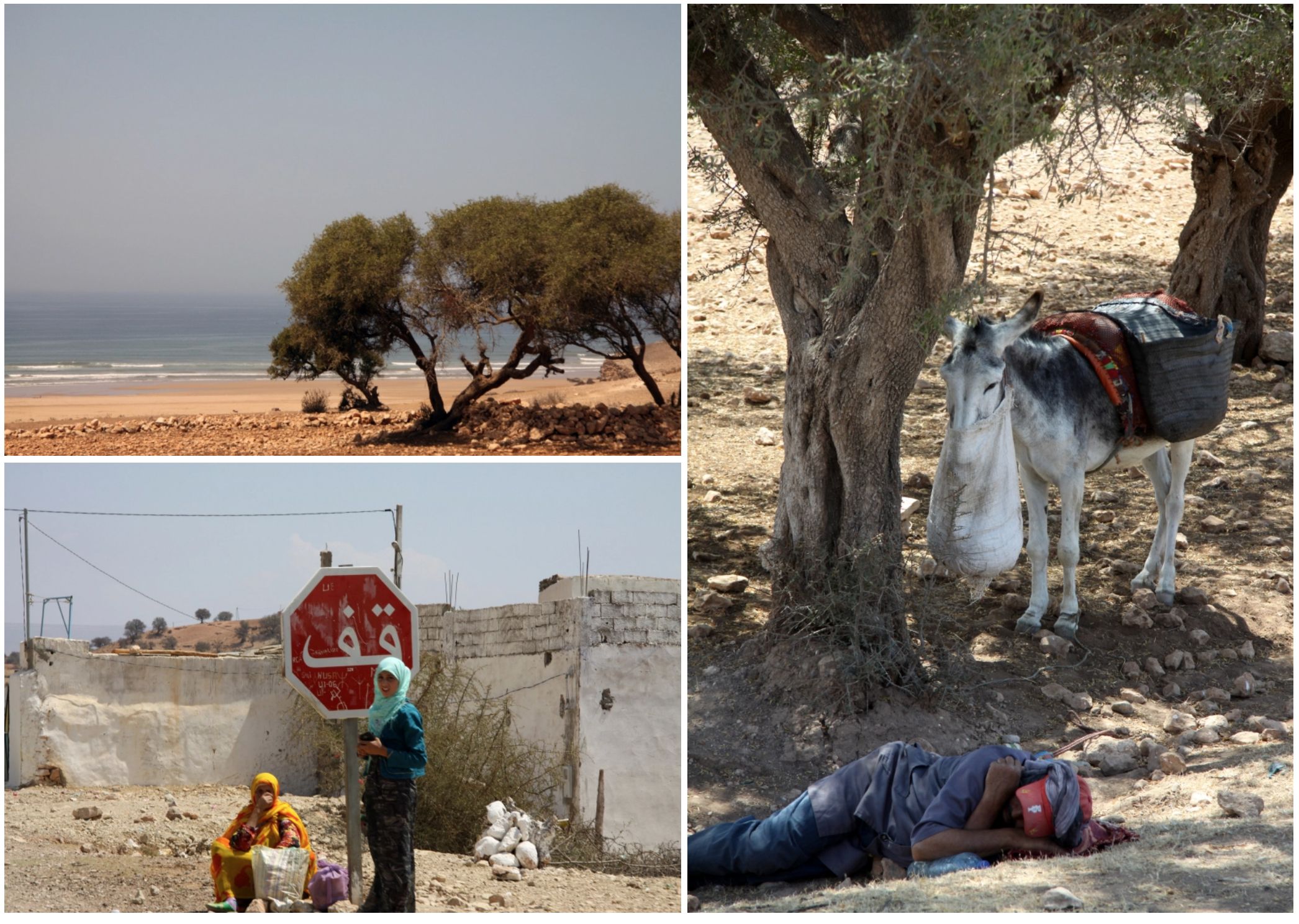 mariaferresamat_essaouira_barcelona_morocco_photography_1